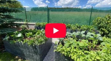 Jak postavit kaskádovitý záhon ve svahu? Reportáž z pořadu Polopatě