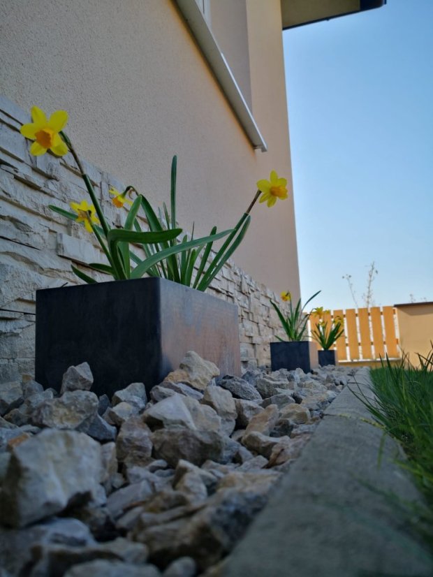 Blumenkasten