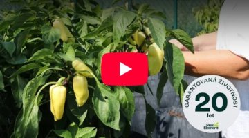 Příprava vyvýšeného záhonu na zimu - Polopatě