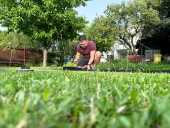 Libor hat das Beet vom Rasen getrennt.