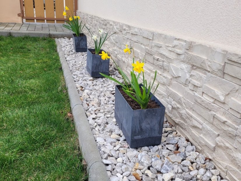 Blumenkasten