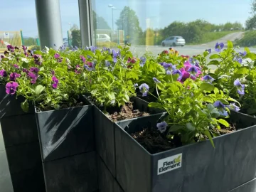 Garten an der Rezeption